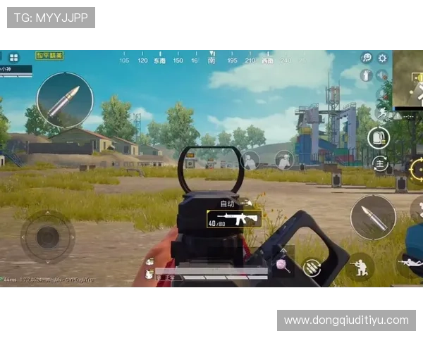 开云真人游戏玩家实战经验分享助你快速提升游戏技巧