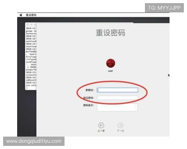 PA体育登陆账号密码忘记怎么办，详细解决方案让你快速恢复访问权限