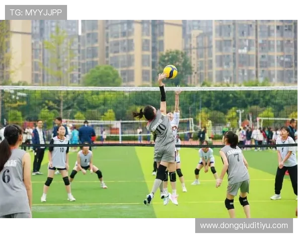 678体育直营平台的优势与特色全面介绍让你轻松找到最适合的体育投注方案