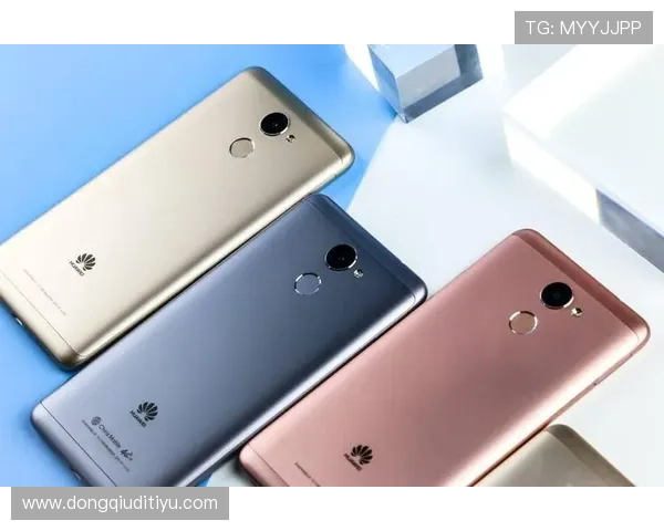 海德体育网站app常见问题与解决方案，帮助用户快速排除使用中的困扰